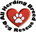 All Herding Breed Dog Rescue